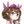 AMANE Natsushiro