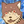 OGASAWARA Tomofumi