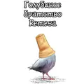 Голубиное братство Remesa
